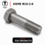 TT BOLT ASMEB18.2.6